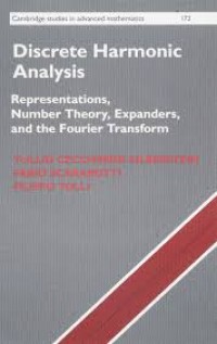 Discrete Harmonic Analysis Representations, Number Theory, Expanders, and the Fourier Transform